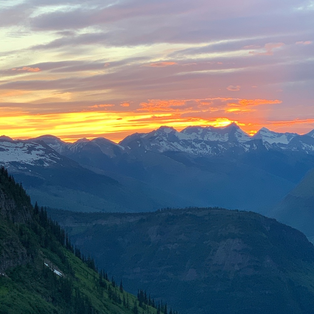 Meet your Posher, Macartney